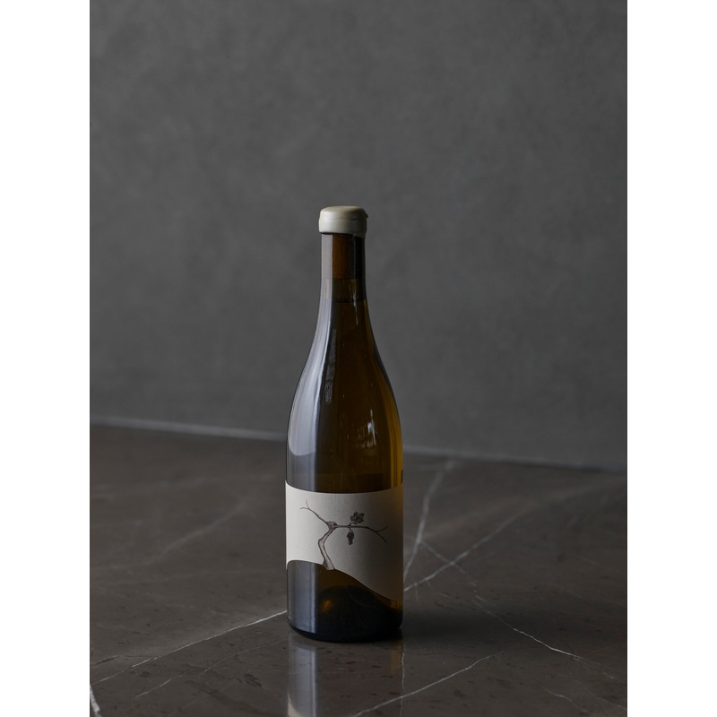 Taturry Pinot Gris 2019