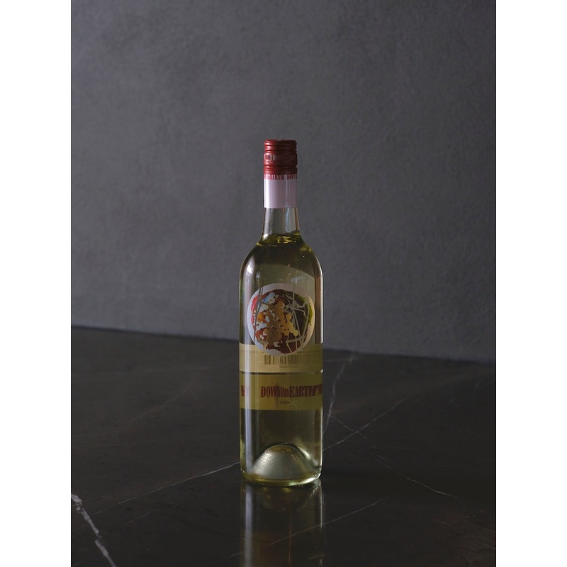Terre  Terre Sauvignon Blanc 2021