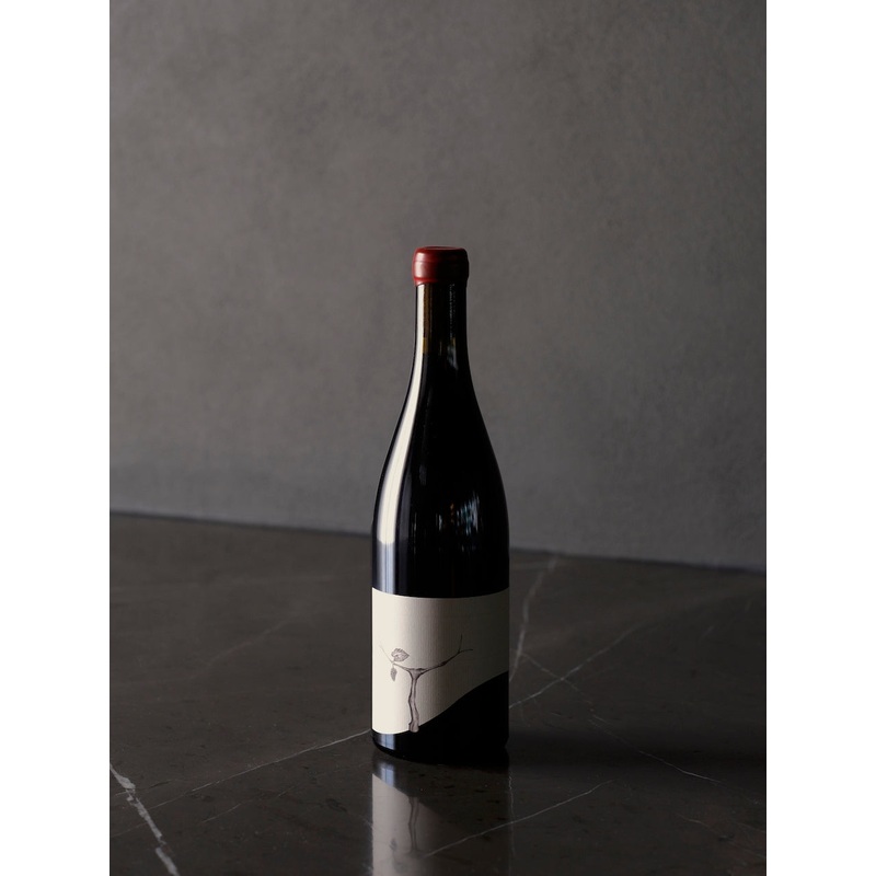 Taturry ‘Banjo’ Pinot Noir 2021