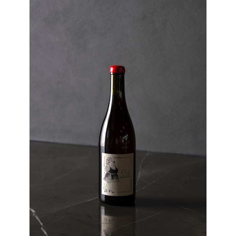 Anne et Jean Franois Ganevat ‘Cuve Madelon’ 2021