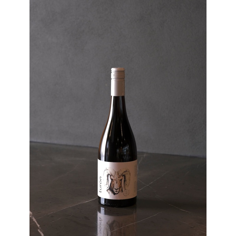 Turon Pinot Noir 2023