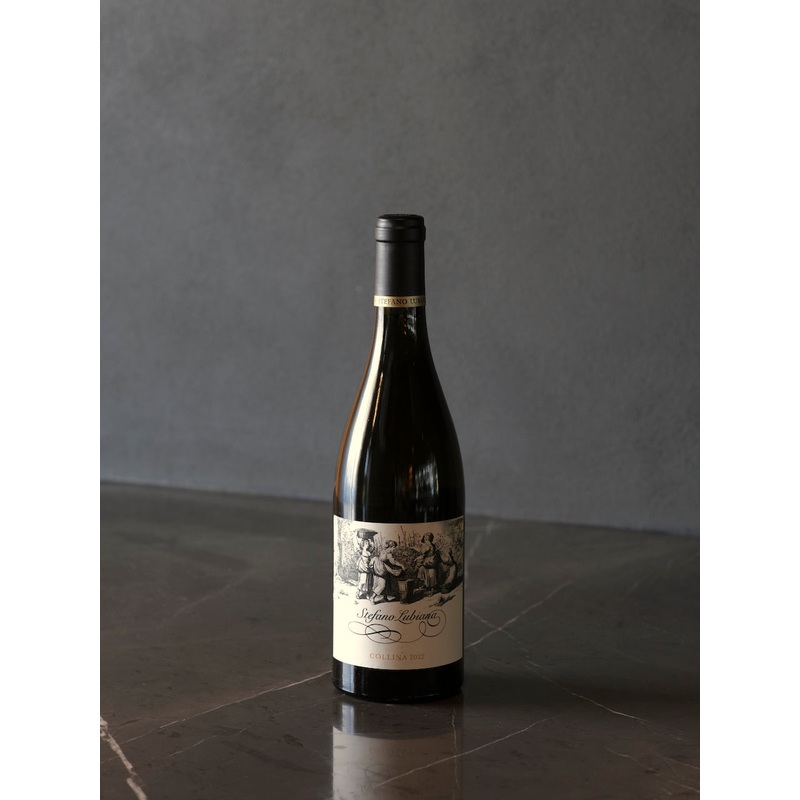 Stefano Lubiana ‘Collina’ Chardonnay 2022