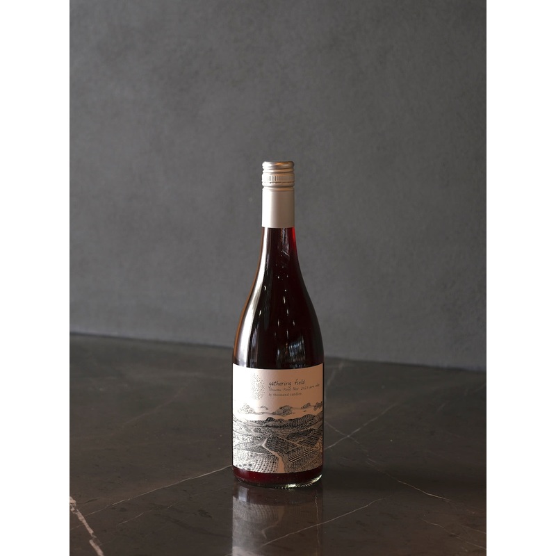 Thousand Candles ‘Gathering Field’ Nouveau Pinot Noir 2023