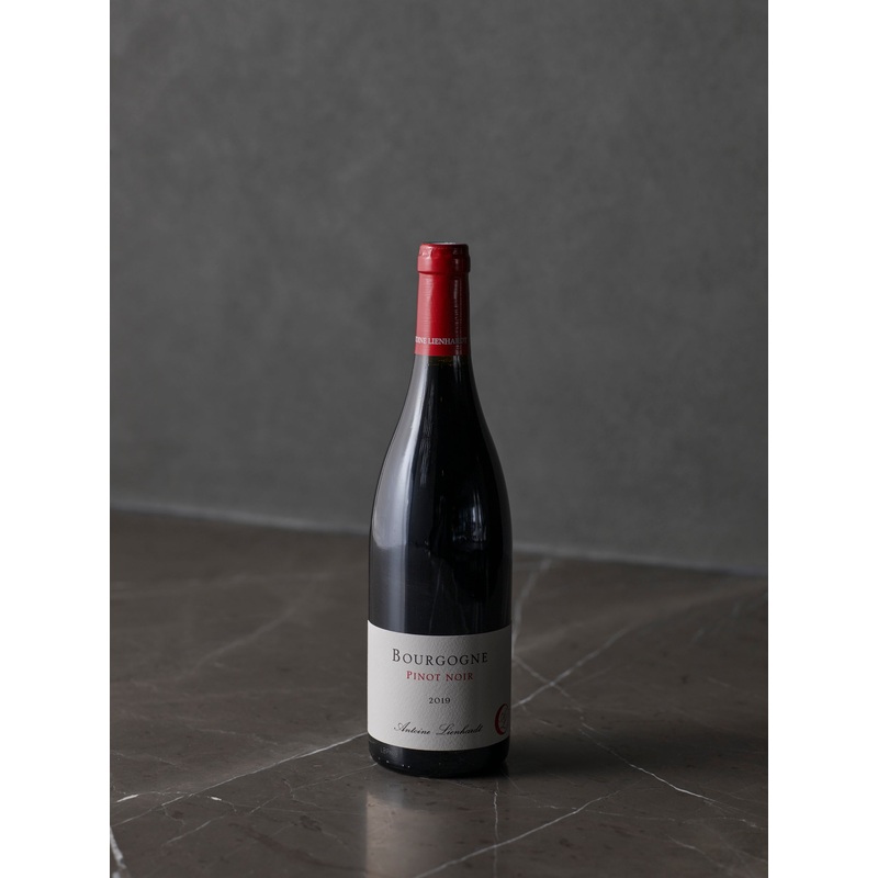 Antoine Lienhardt Bourgogne Rouge 2023