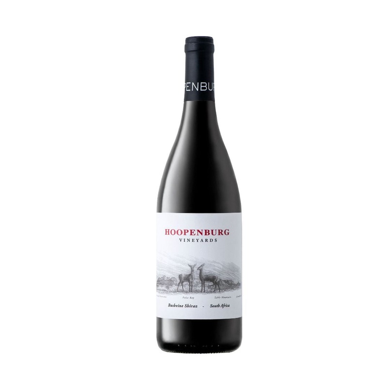 Case of Hoopenburg Bushvine Shiraz