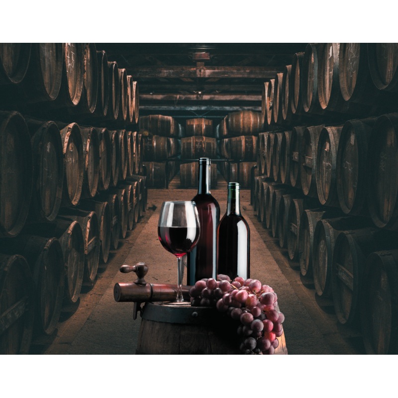 Bizarre & Unusual Wines|General Admission