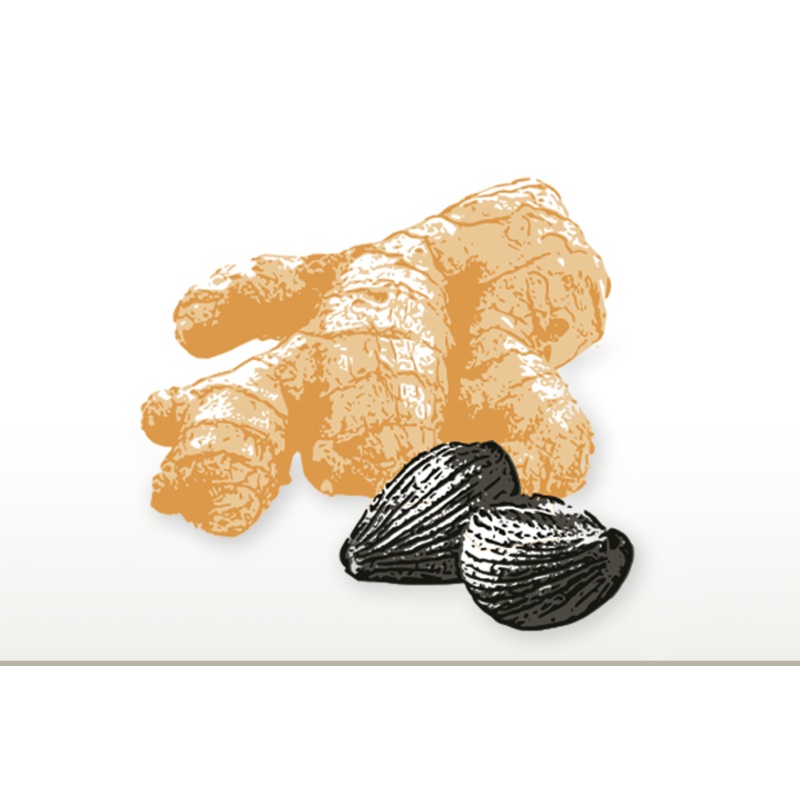 Olivia – Ginger & Black Garlic Olive Oil