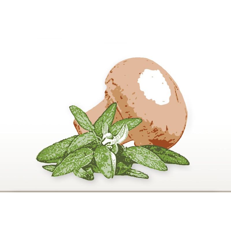 Olivia – Wild Mushroom & Sage Olive Oil