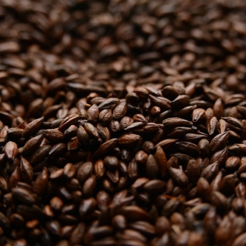Briess: Roasted Barley|lb|oz|Bag 50