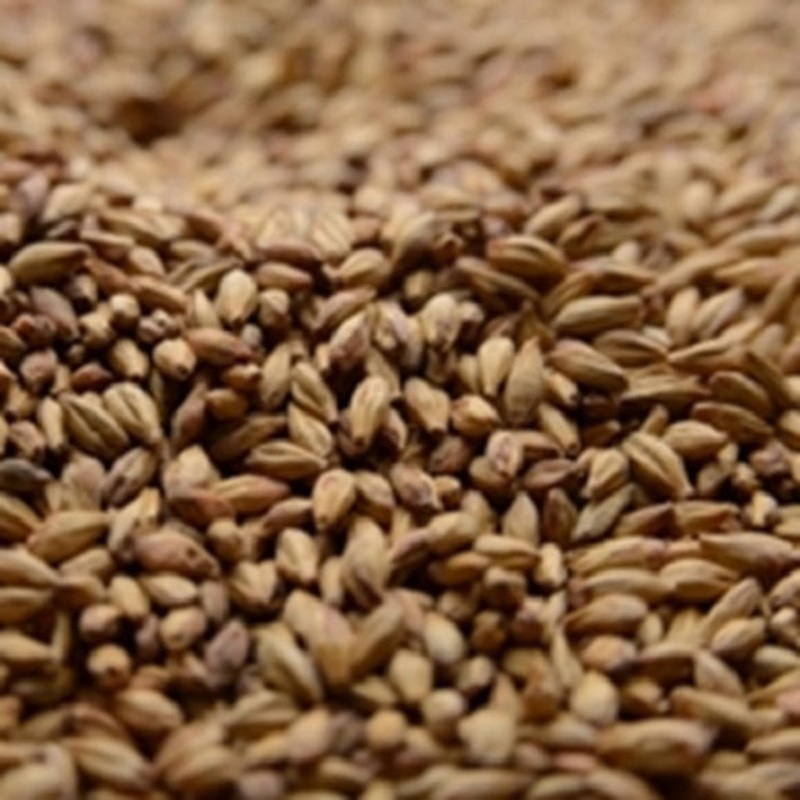 Briess: Special Roast|lb|oz|Bag 50