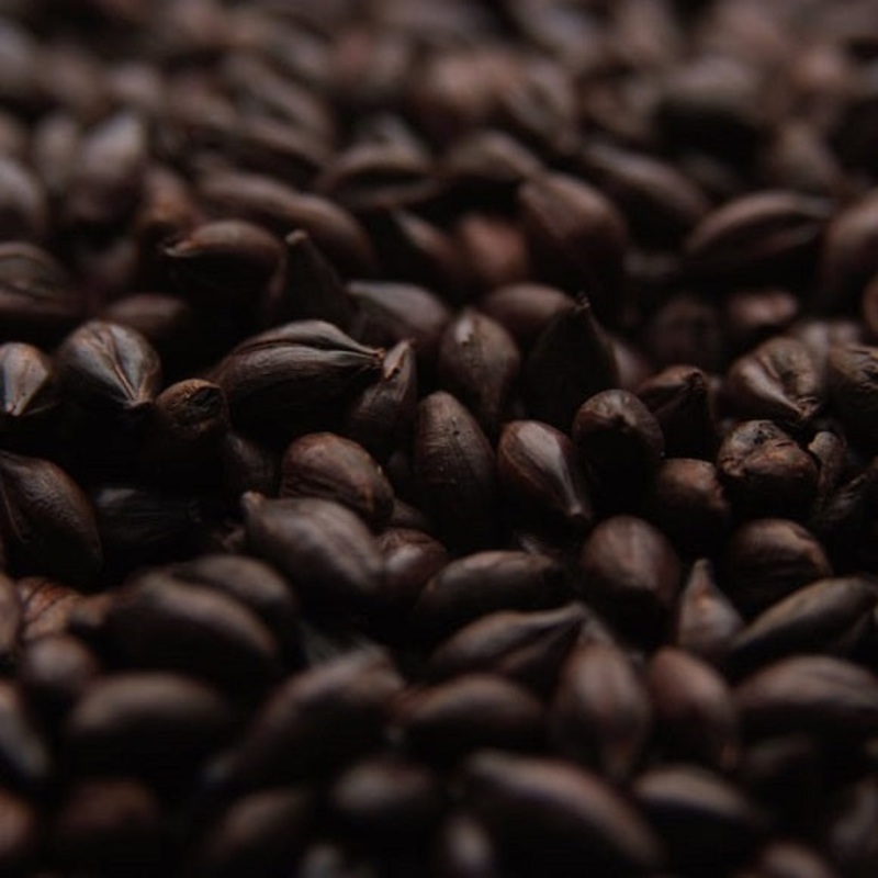 Briess: Stout Roasted Barley|lb|oz|Bag 50