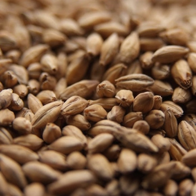 Crisp: Finest Maris Otter Ale Malt