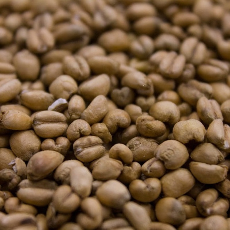 Crisp: Torrefied Wheat|lb|oz|Bag 55