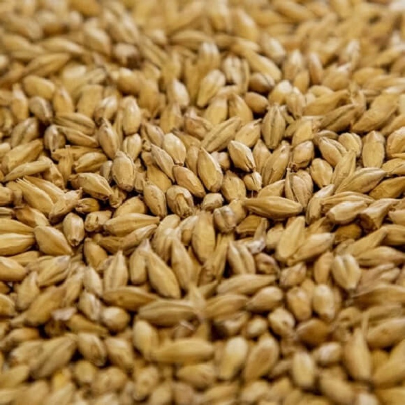 Dingemans: Pilsner Malt|lb|oz|Bag 55