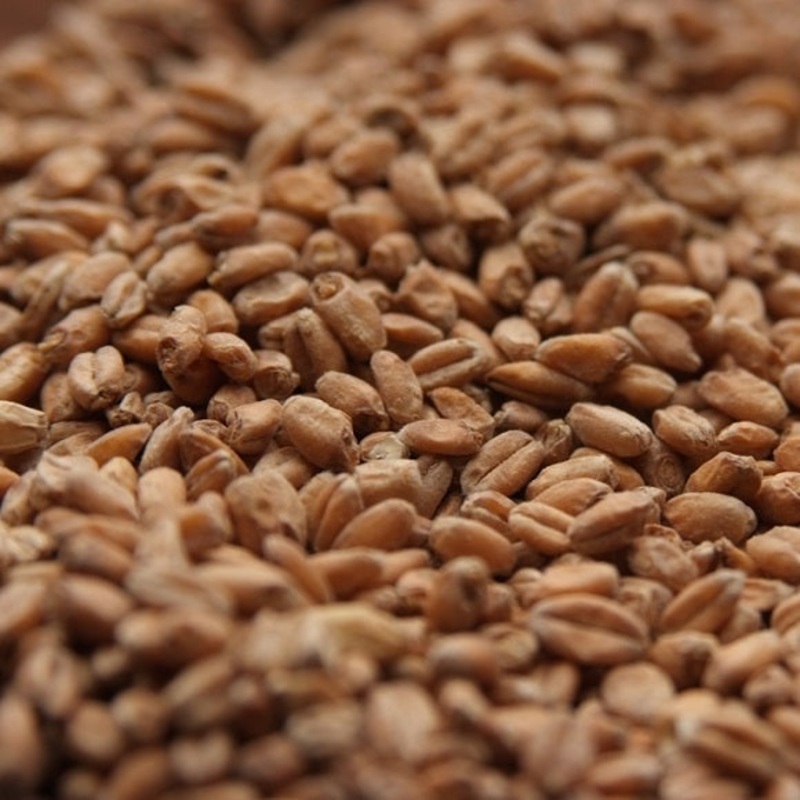 Rahr Malting Co: Red Wheat|lb|oz|Bag 55