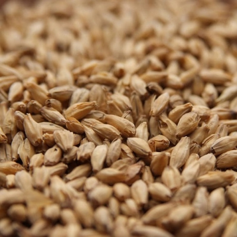 Rahr Malting Co: Standard 6 Row