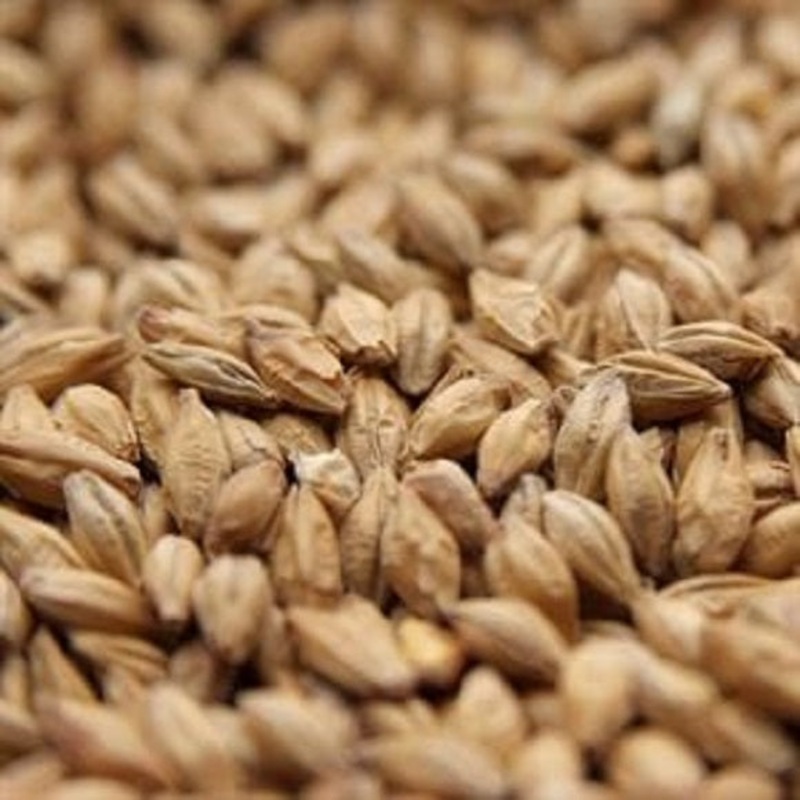 Weyermann Bohemian Floor-Malted Pilsner Malt