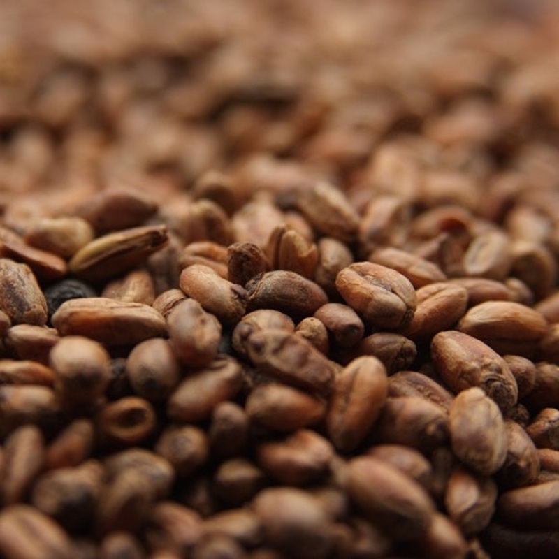 Weyermann CaraWheat|lb|oz|Bag 55