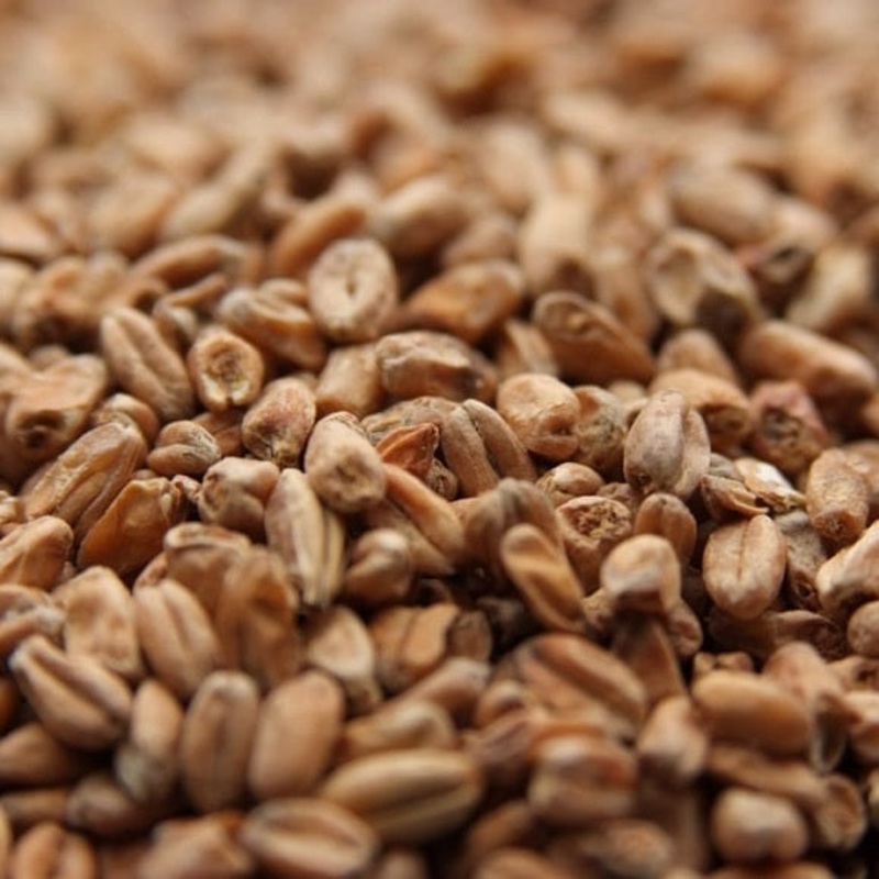 Weyermann Dark Wheat Malt|lb|oz|Bag 55