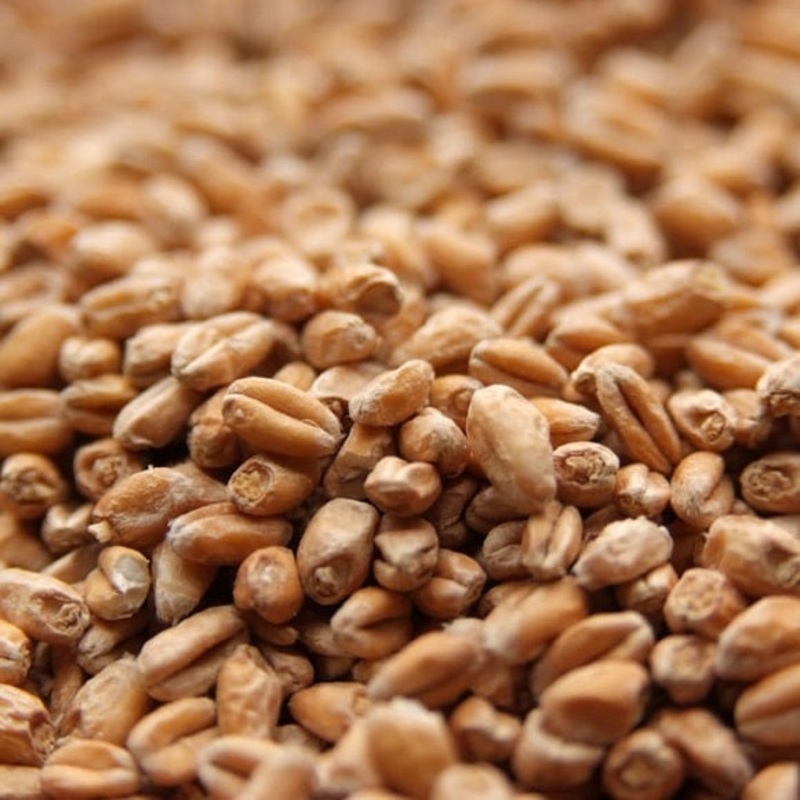 Weyermann Pale Wheat Malt|lb|oz|Bag 55||3lb