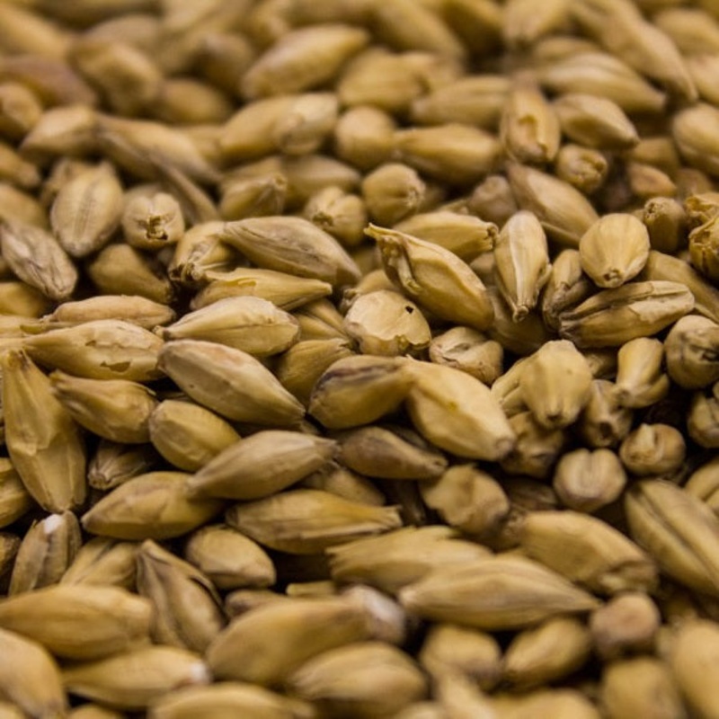 Weyermann Pilsner Malt|lb|oz|Bag 55