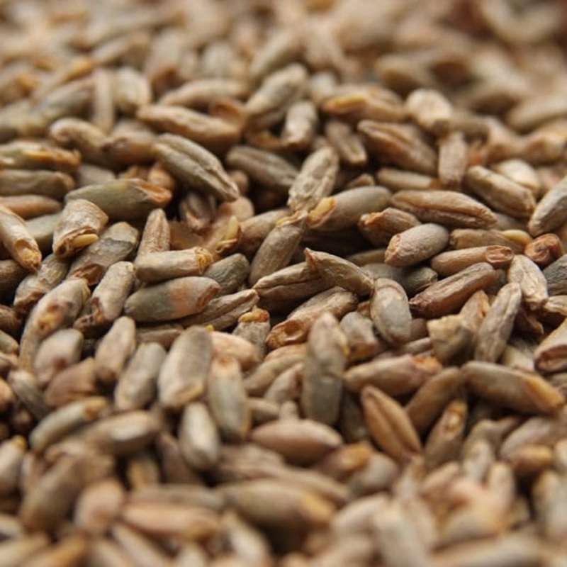 Wyermann Pale Rye Malt|lb|oz|Bag (55lb)