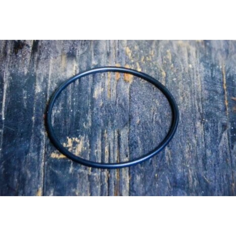 Anvil: Pump O-Ring