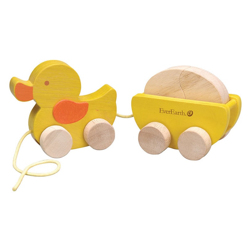 EverEarth Pull Along Duck & Egg