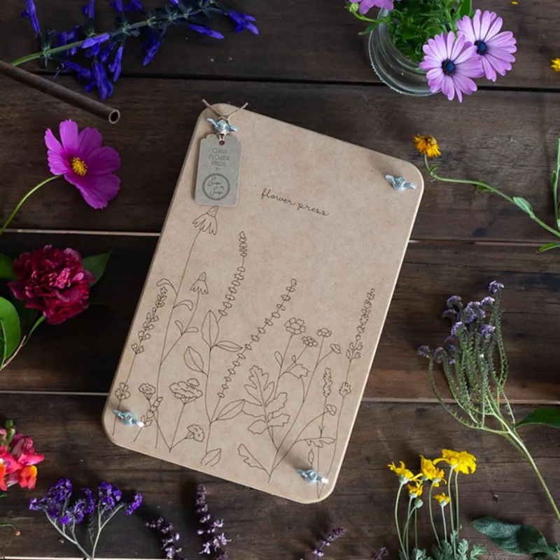 SowNSow Flower Press Giant|Tulip|Wildflowers|Gum Flowers
