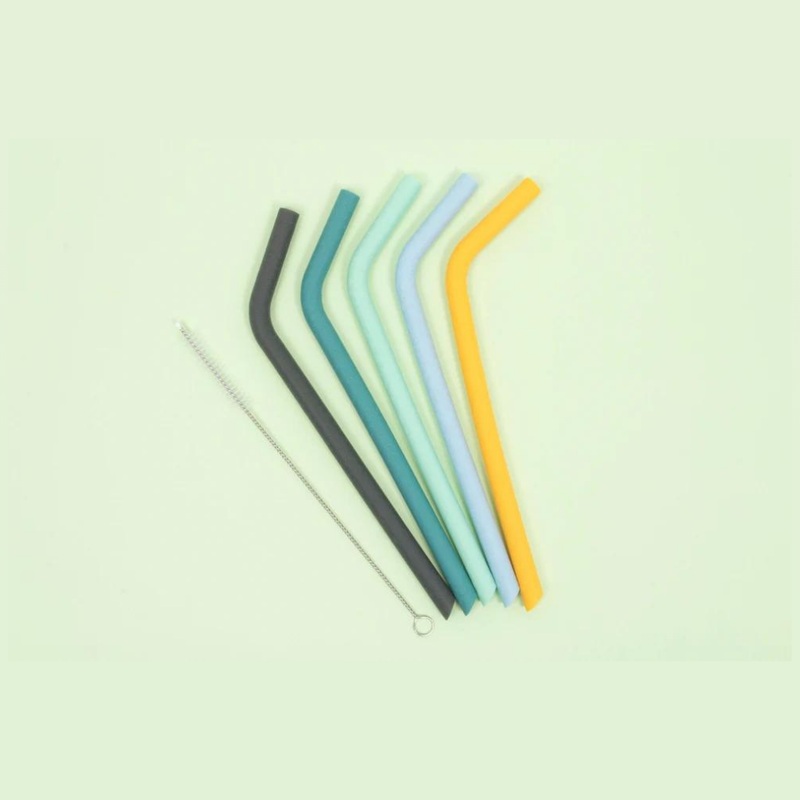 We Might Be Tiny Bendie Straws (Set of 5 & Brush)