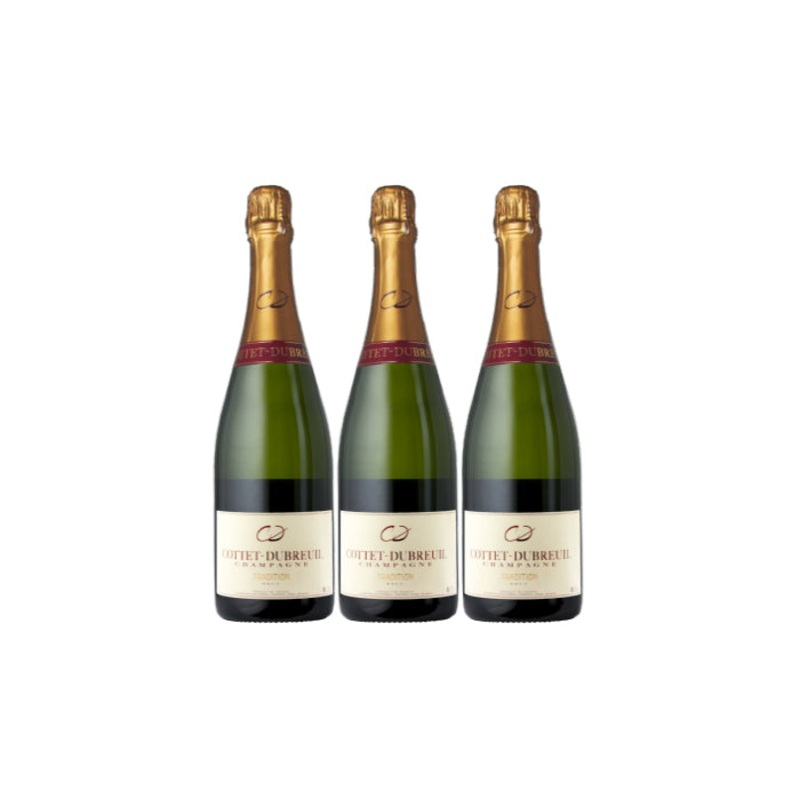 Groupon Champagne 3-Pack