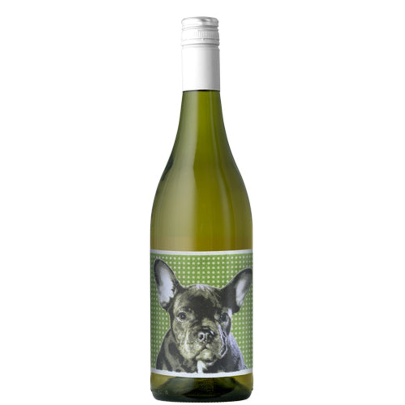 Chiens Catlans Blanc 2019