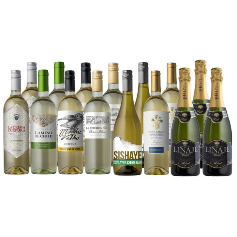 Back to School Celebration 15-Pack