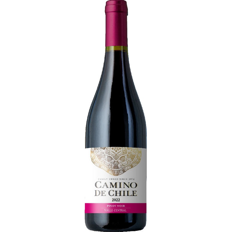 Camino de Chile Pinot Noir 2022