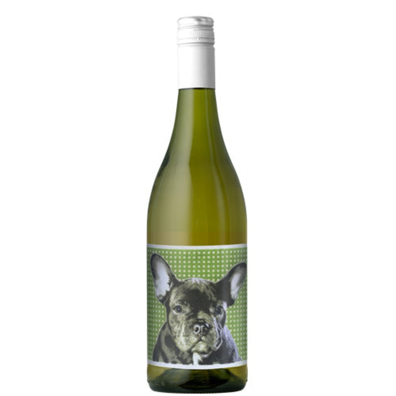Chiens Catlans Blanc 2022