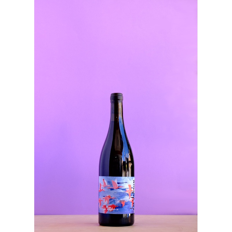 2022 Sanza nocturne