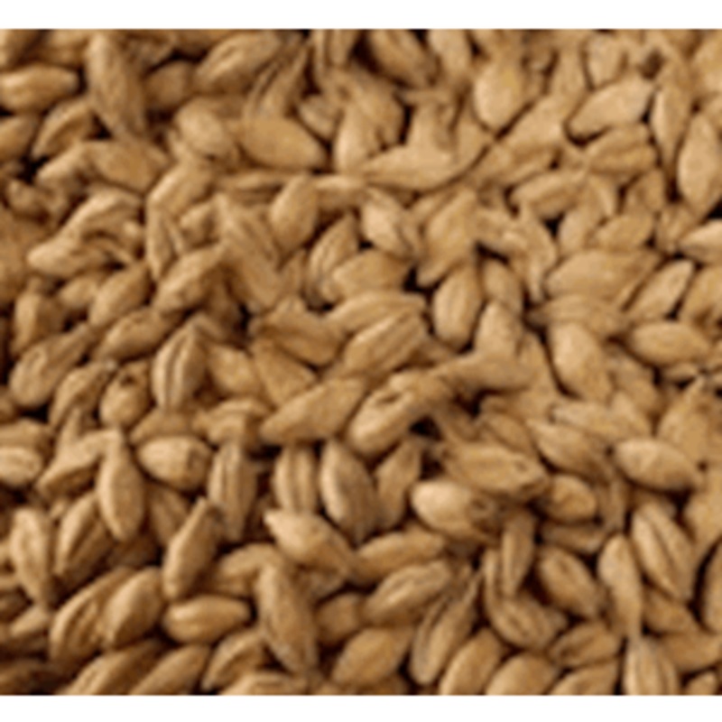 Amber Specialty Grain|1oz|1lb|10lb|Yes|No