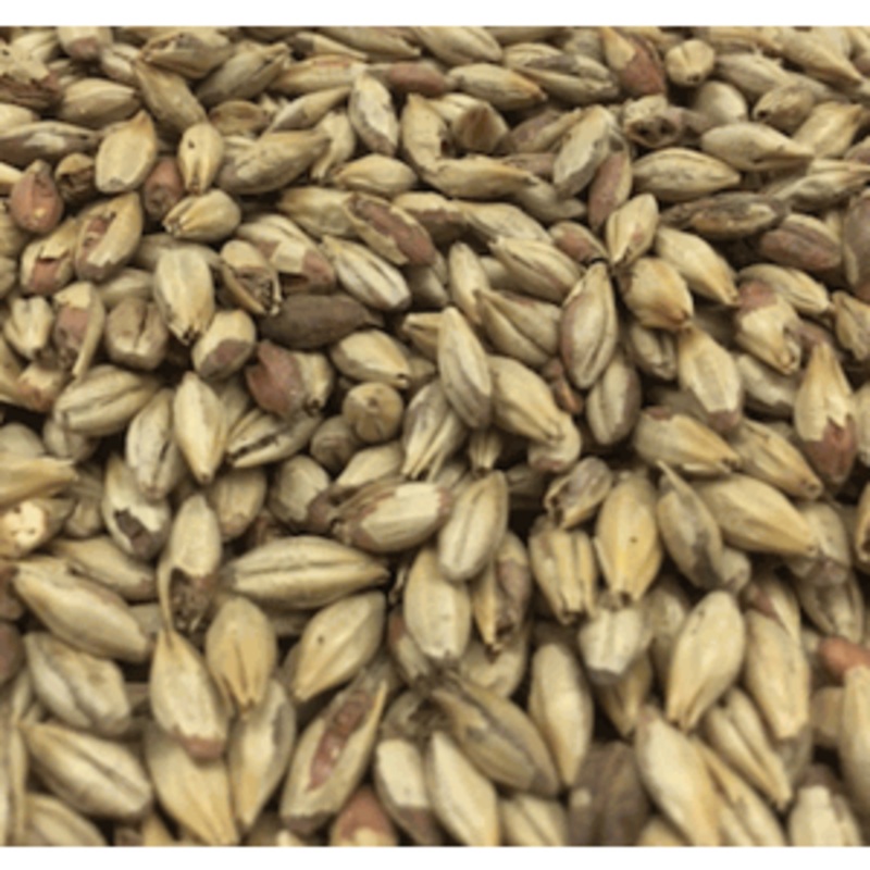 Aromatic Specialty Grain|1oz|1lb|10lb|Yes|No
