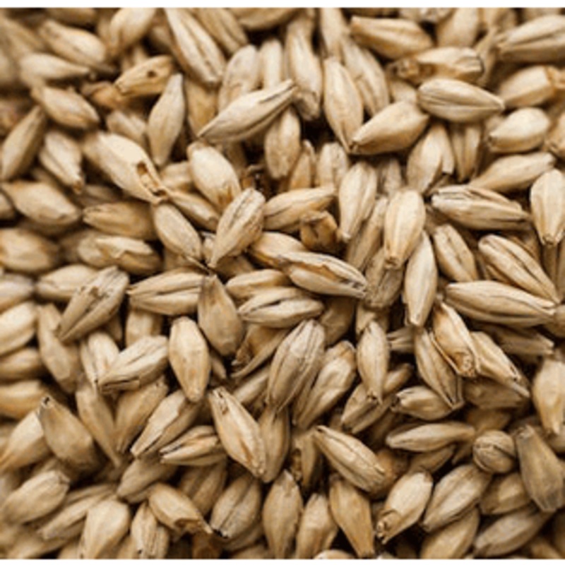 Biscuit Specialty Grain|1oz|1lb|10lb|Yes|No