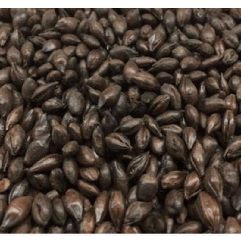 Carafa 3 Specialty Grain Malt|1oz|1lb|Yes|No