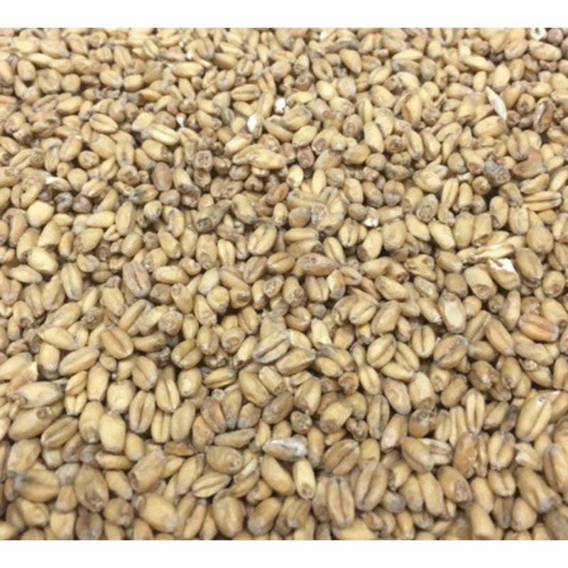 White Wheat Base Malt Grain|1oz|1lb|10lb|50lb|1 lb|Yes|No