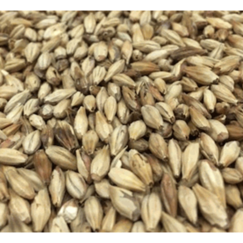Honey Specialty Grain|1oz|1lb|10lb|Yes|No