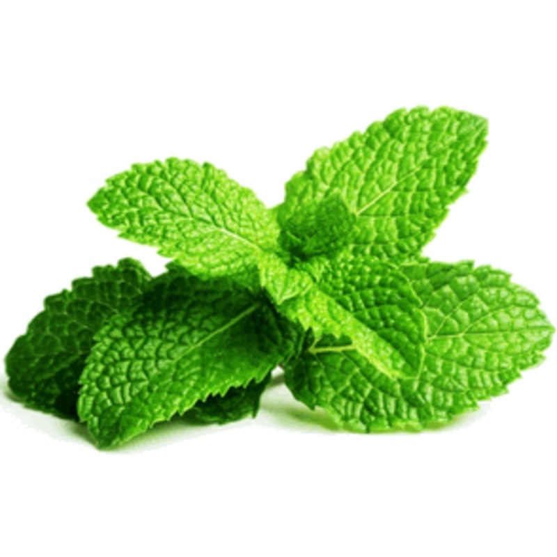 Mint Leaves|Spearmint|Peppermint