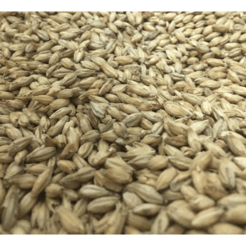 GOLDPILS VIENNA MALT 3.5L 50 LB