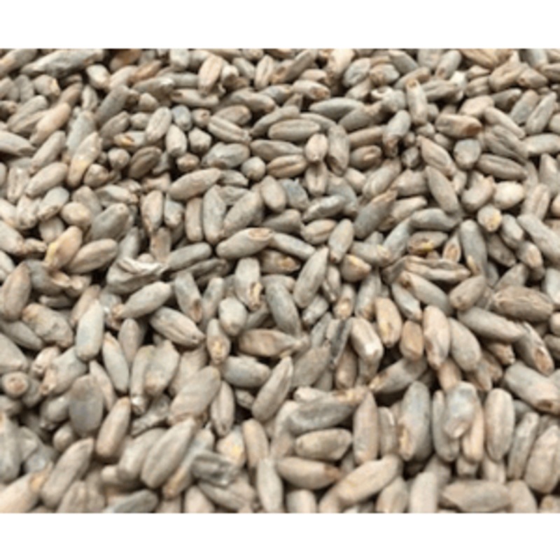 Rye Specialty Grain Malt|1oz|1lb|10lb|50 lb|Yes|No