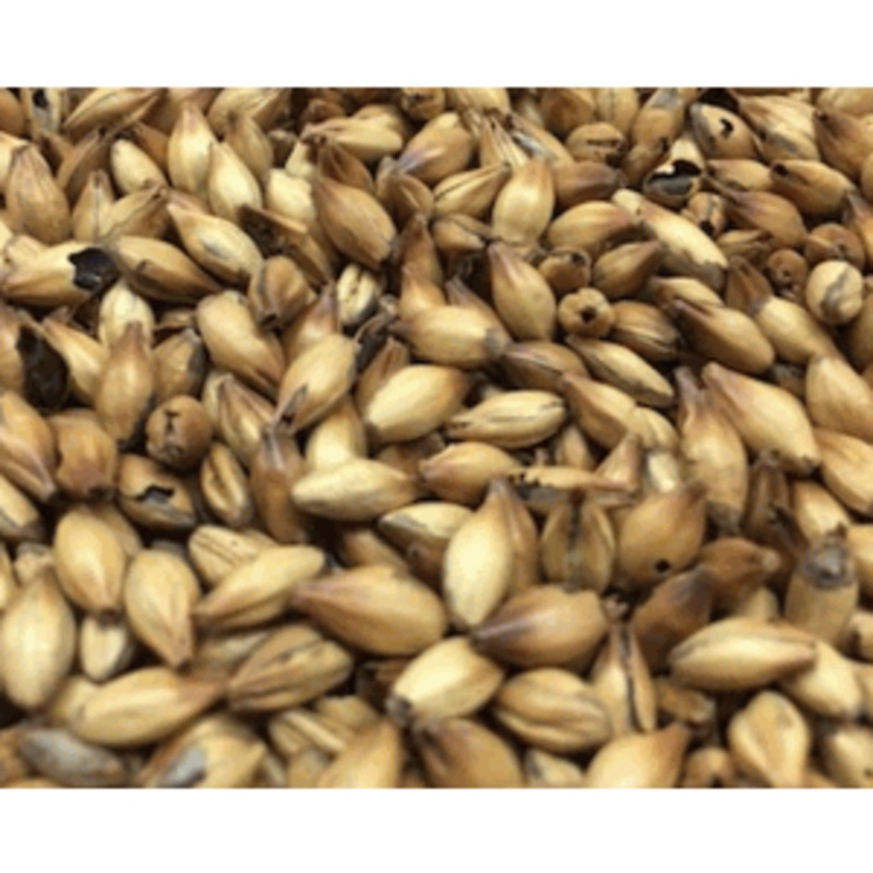 Special Specialty Grain|1oz|1lb|10lb|Yes|No