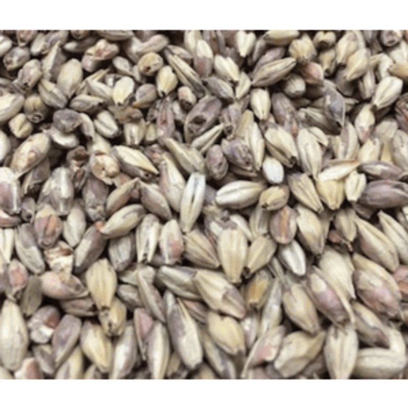 Victory Specialty Grain|1oz|1lb|10lb|Yes|No