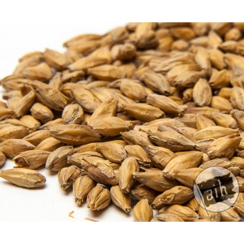 Czech Pilsen Prostejov Malt 1 lb