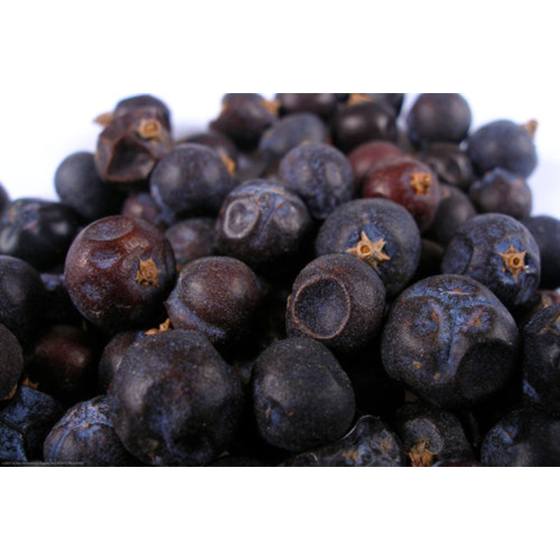 Juniper Berries – 1/4 oz