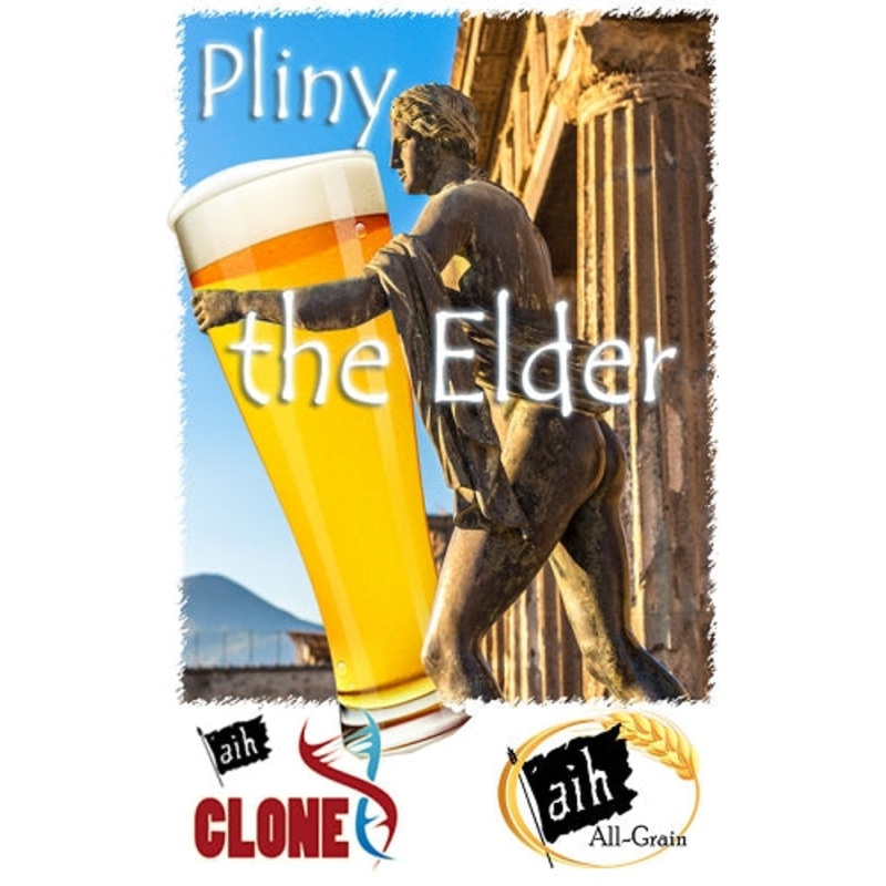 Pliny the Elder Clone All Grain Recipe